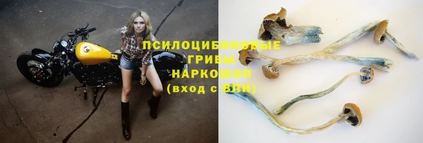 бошки Алексеевка