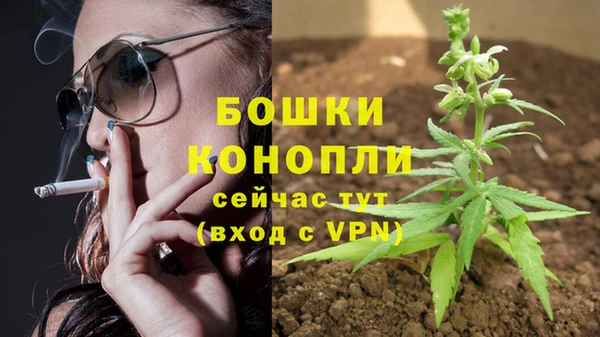 ALPHA PVP Алексин
