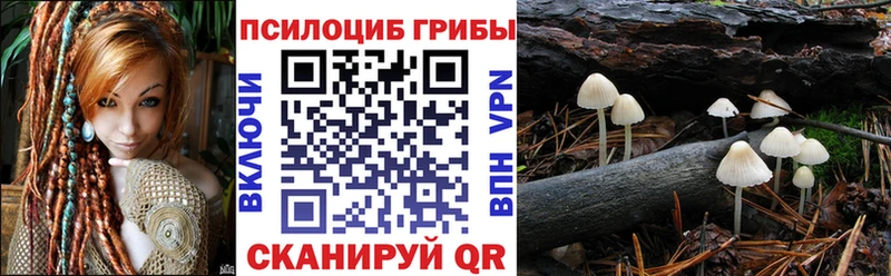 Галлюциногенные грибы Psilocybine cubensis  продажа наркотиков  Буй 